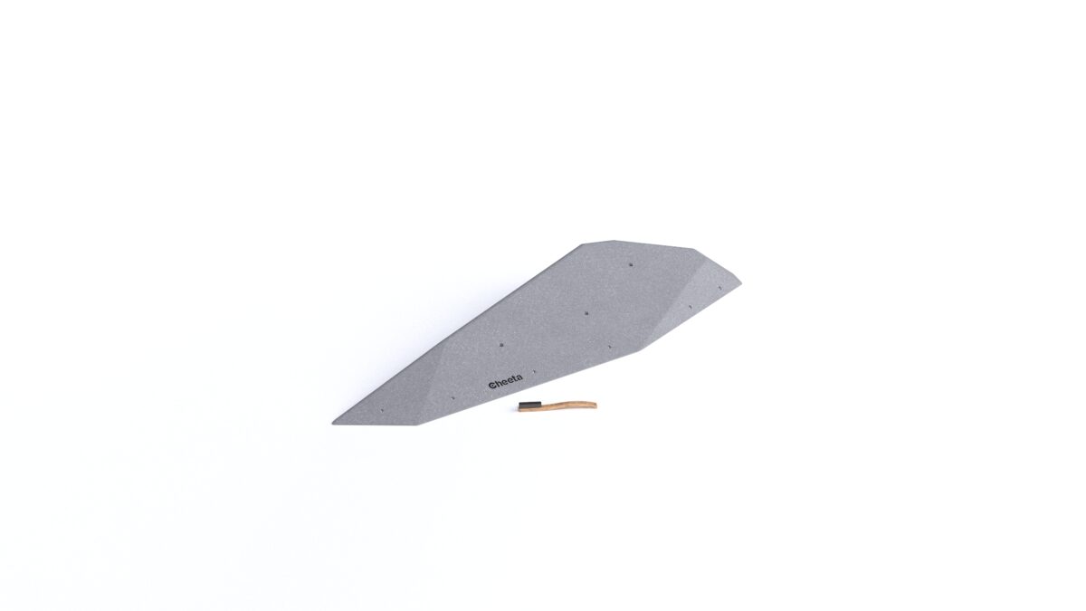 Sharp Silex XL2
