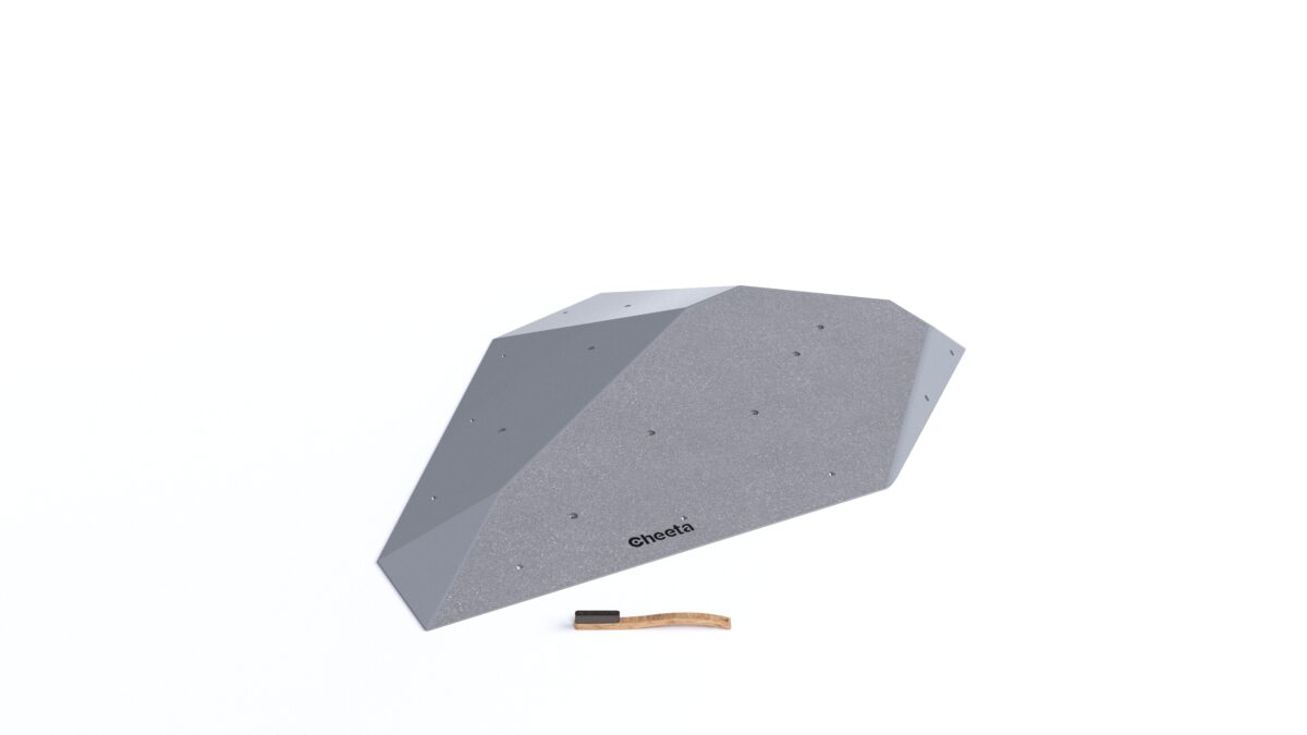 Fat Silex XL2 DT