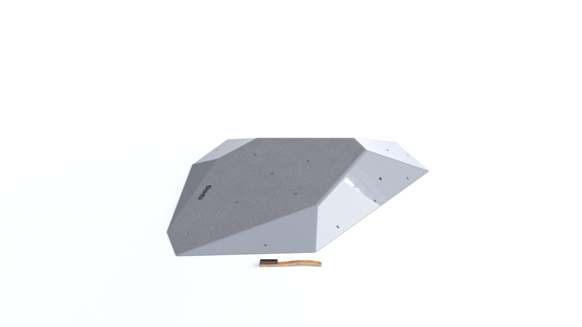 Fat Silex L1 DT